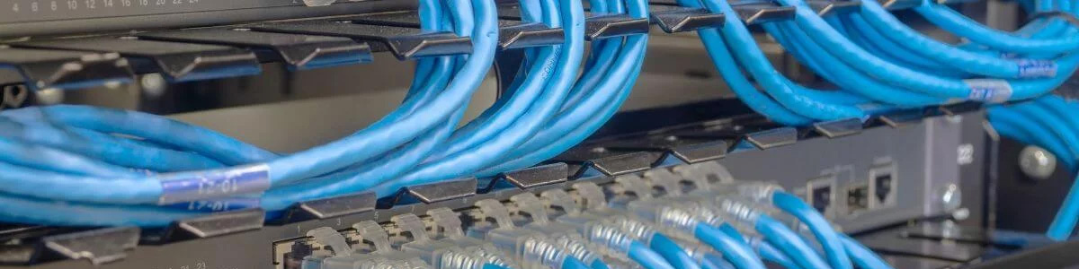 blue network cables